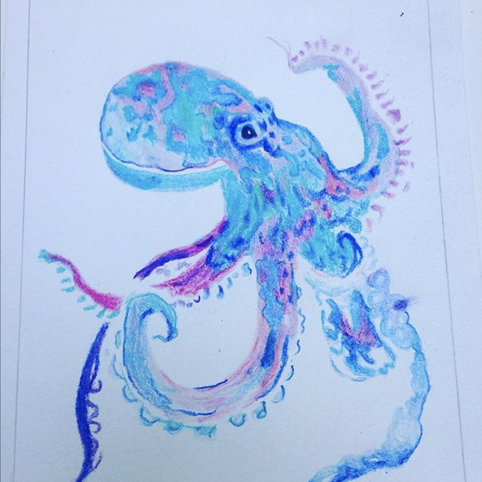 blue octopus